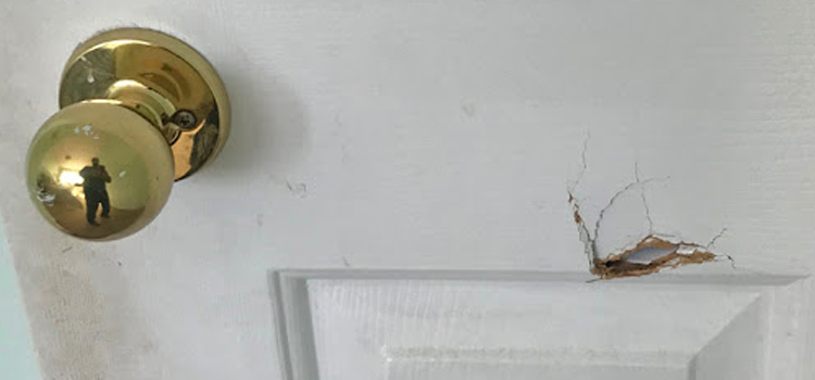 interior door hole repair La Presa