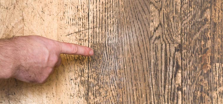 Wood Door Scratch Repair in La Presa